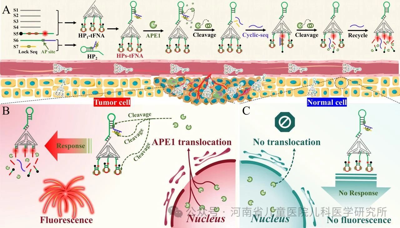 微信圖片_20250519111647.jpg 微信圖片_20250519111647.jpg